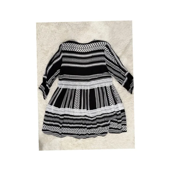 Suzanne Betro Plus 1X Black White Long Sleeve Dress - Size 1X (EUC) - Picture 2 of 4